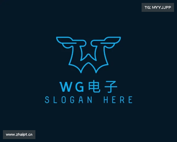 认识WG电子